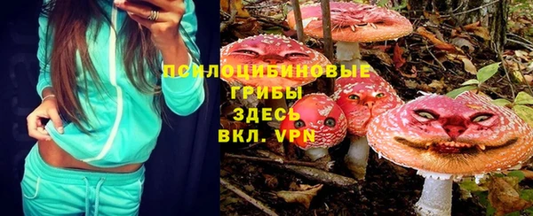 дмт Сатка